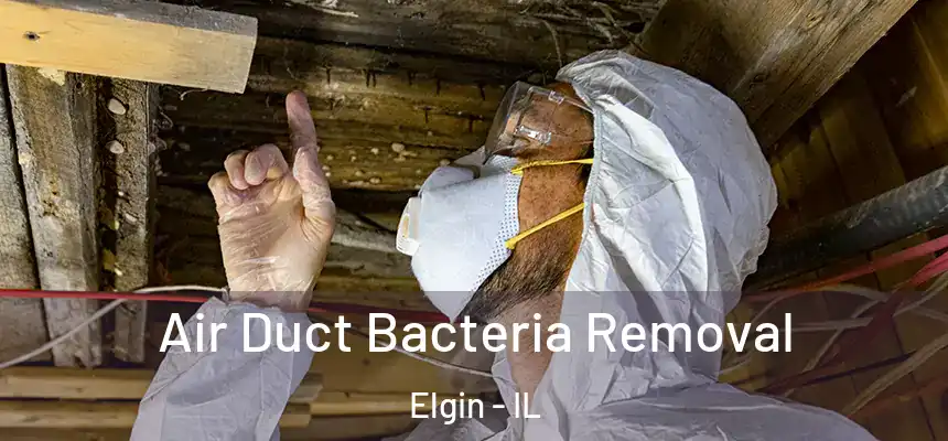  Air Duct Bacteria Removal Elgin - IL