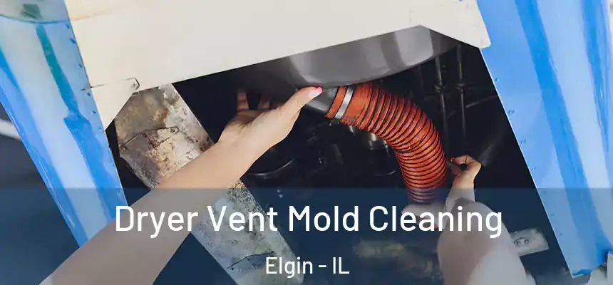  Dryer Vent Mold Cleaning Elgin - IL