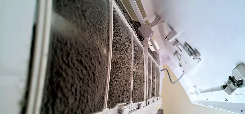 Preventive Air Duct Bacteria Removal in Elgin