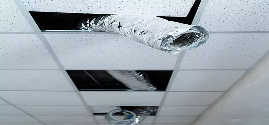 Our Air Duct Pet Hair Removal Services in Elgin, IL