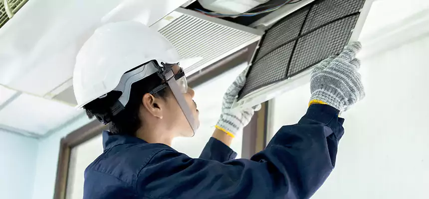 Our Mold & Mildew Removal from Air Ducts Services in Elgin, IL