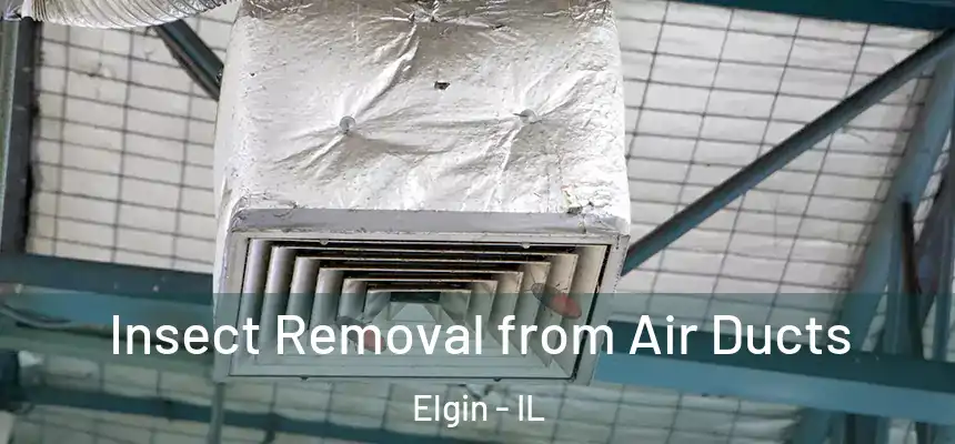  Insect Removal from Air Ducts Elgin - IL