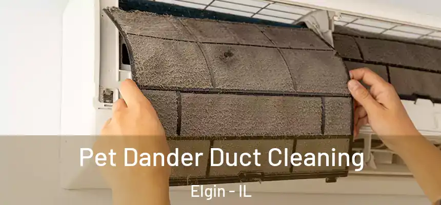  Pet Dander Duct Cleaning Elgin - IL