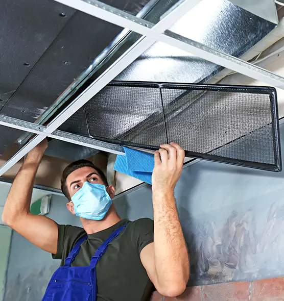 About Air Duct Bacteria Removal in Elgin