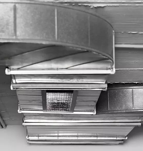 Professional Air Duct Pet Hair Removal in Elgin, IL