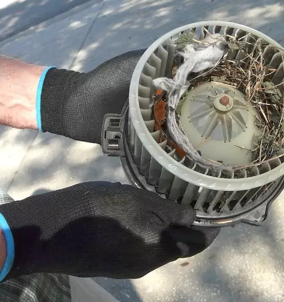 About Air Duct Rat Removal in Elgin, IL