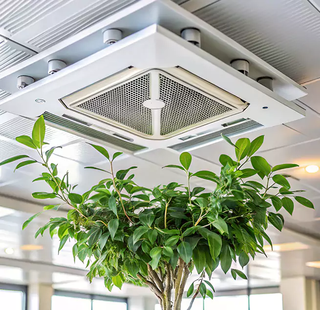 Why Homeowners & Businesses Trust Us in Elgin, IL?